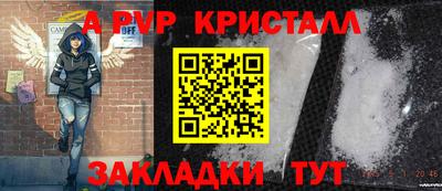 спиды Гусев