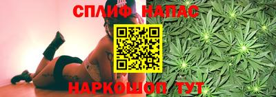 спиды Гусев