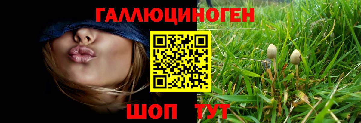 Псилоцибиновые грибы Cubensis  как найти наркотики  Михайловка  Вход с VPN 