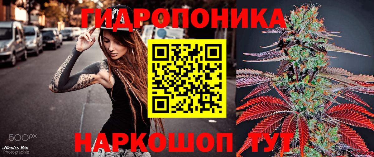 Канабис сатива Михайловка